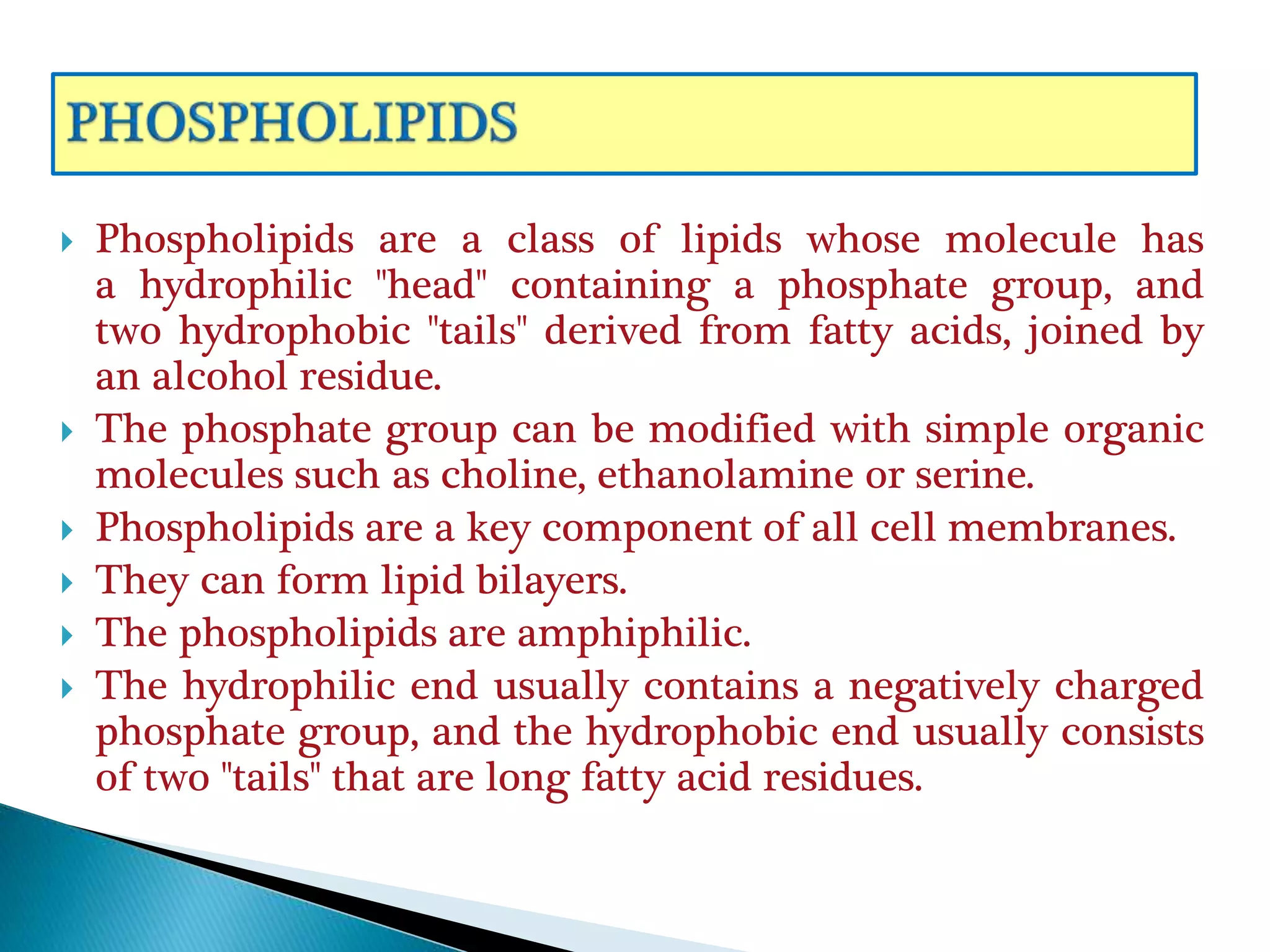  Phospholipids are a class of lipids whose molecule has
a hydrophilic "head" containing a phosphate group, and
two hydrophobic "tails" derived from fatty acids, joined by
an alcohol residue.
 The phosphate group can be modified with simple organic
molecules such as choline, ethanolamine or serine.
 Phospholipids are a key component of all cell membranes.
 They can form lipid bilayers.
 The phospholipids are amphiphilic.
 The hydrophilic end usually contains a negatively charged
phosphate group, and the hydrophobic end usually consists
of two "tails" that are long fatty acid residues.
 