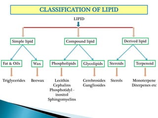 CLASSIFICATION OF LIPID
LIPID
Simple lipid Compound lipid Derived lipid
Fat & Oils Wax Phospholipids Glycolipids Steroids Terpenoid
Triglycerides Beewax Lecithin
Cephalins
Phosphotidyl -
inositol
Sphingomyelins
Cerebrosides
Gangliosides
Monoterpene
Diterpenes etc
Sterols
 