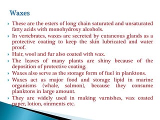  These are the esters of long chain saturated and unsaturated
fatty acids with monohydroxy alcohols.
 In vertebrates, waxes are secreted by cutaneous glands as a
protective coating to keep the skin lubricated and water
proof.
 Hair, wool and fur also coated with wax.
 The leaves of many plants are shiny because of the
deposition of protective coating.
 Waxes also serve as the storage form of fuel in planktons.
 Waxes act as major food and storage lipid in marine
organisms (whale, salmon), because they consume
planktons in large amount.
 They are widely used in making varnishes, wax coated
paper, lotion, oinments etc.
 