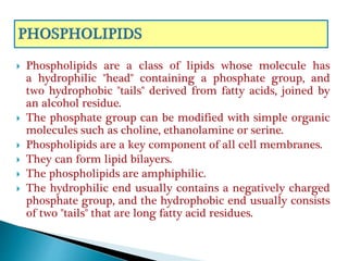  Phospholipids are a class of lipids whose molecule has
a hydrophilic "head" containing a phosphate group, and
two hydrophobic "tails" derived from fatty acids, joined by
an alcohol residue.
 The phosphate group can be modified with simple organic
molecules such as choline, ethanolamine or serine.
 Phospholipids are a key component of all cell membranes.
 They can form lipid bilayers.
 The phospholipids are amphiphilic.
 The hydrophilic end usually contains a negatively charged
phosphate group, and the hydrophobic end usually consists
of two "tails" that are long fatty acid residues.
 