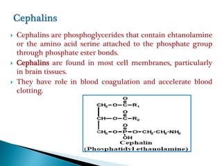  Cephalins are phosphoglycerides that contain ehtanolamine
or the amino acid serine attached to the phosphate group
through phosphate ester bonds.
 Cephalins are found in most cell membranes, particularly
in brain tissues.
 They have role in blood coagulation and accelerate blood
clotting.
 