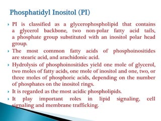 PI is classified as a glycerophospholipid that contains
a glycerol backbone, two non-polar fatty acid tails,
a phosphate group substituted with an inositol polar head
group.
 The most common fatty acids of phosphoinositides
are stearic acid, and arachidonic acid.
 Hydrolysis of phosphoinositides yield one mole of glycerol,
two moles of fatty acids, one mole of inositol and one, two, or
three moles of phosphoric acids, depending on the number
of phosphates on the inositol rings.
 It is regarded as the most acidic phospholipids.
 It play important roles in lipid signaling, cell
signaling and membrane trafficking.
 