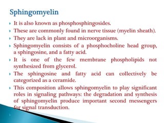  It is also known as phosphosphingosides.
 These are commonly found in nerve tissue (myelin sheath).
 They are lack in plant and microorganisms.
 Sphingomyelin consists of a phosphocholine head group,
a sphingosine, and a fatty acid.
 It is one of the few membrane phospholipids not
synthesized from glycerol.
 The sphingosine and fatty acid can collectively be
categorized as a ceramide.
 This composition allows sphingomyelin to play significant
roles in signaling pathways: the degradation and synthesis
of sphingomyelin produce important second messengers
for signal transduction.

 