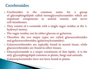  Cerebrosides is the common name for a group
of glycosphingolipids called monoglycosylceramides which are
important components in animal muscle and nerve
cell membranes.
 They consist of a ceramide with a single sugar residue at the 1-
hydroxyl moiety.
 The sugar residue can be either glucose or galactose.
 Therefore the two major types are called glucocerebrosides
and galactocerebrosides (galactosylceramides).
 Galactocerebrosides are typically found in neural tissue, while
glucocerebrosides are found in other tissues.
 Glucosylceramide is a major constituent of skin lipids, it is the
only glycosphingolipid common to plants, fungi and animals.
 Galactosylceramides have not been found in plants.
 