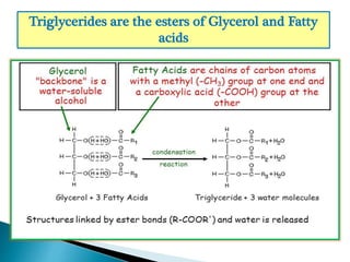Triglycerides are the esters of Glycerol and Fatty
acids
 