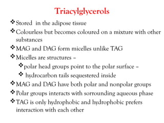 Colour Less Tag LIPIDS -STRUCTURE AND FUNCTION..pptx bchem | PPTX