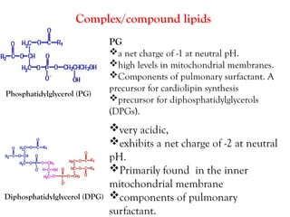LIPIDS -STRUCTURE AND FUNCTION..pptx bchem | PPTX