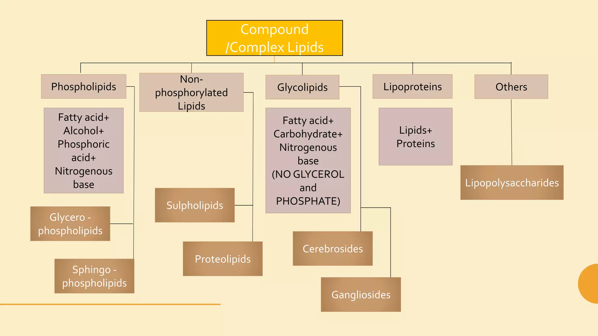 Lipids structure, classification, functions and properties | PPTX