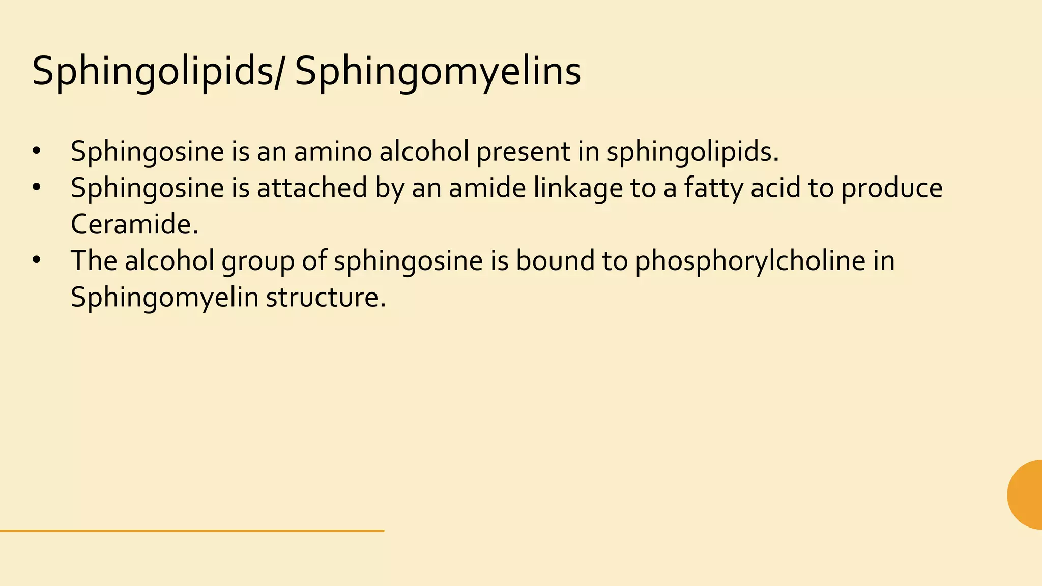 Lipids structure, classification, functions and properties | PPTX