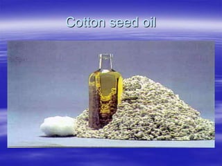 Cotton seed oil
 