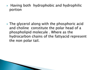  Having both hydrophobic and hydrophilic
portion
 The glycerol along with the phosphoric acid
and choline constitute the polar head of a
phospholipid molecule . Where as the
hydrocarbon chains of the fattyacid represent
the non polar tail.
 