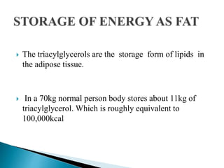  The triacylglycerols are the storage form of lipids in
the adipose tissue.
 In a 70kg normal person body stores about 11kg of
triacylglycerol. Which is roughly equivalent to
100,000kcal
 