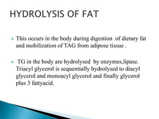  This occurs in the body during digestion of dietary fat
and mobilization of TAG from adipose tissue .
 TG in the body are hydrolysed by enzymes,lipase.
Triacyl glycerol is sequentially hydrolysed to diacyl
glycerol and monoacyl glycerol and finally glycerol
plus 3 fattyacid.
 