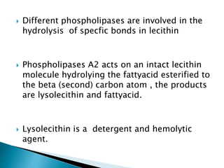  Different phospholipases are involved in the
hydrolysis of specfic bonds in lecithin
 Phospholipases A2 acts on an intact lecithin
molecule hydrolying the fattyacid esterified to
the beta (second) carbon atom , the products
are lysolecithin and fattyacid.
 Lysolecithin is a detergent and hemolytic
agent.
 