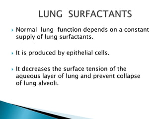  Normal lung function depends on a constant
supply of lung surfactants.
 It is produced by epithelial cells.
 It decreases the surface tension of the
aqueous layer of lung and prevent collapse
of lung alveoli.
 