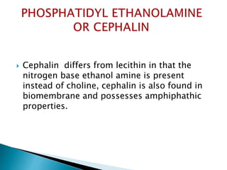  Cephalin differs from lecithin in that the
nitrogen base ethanol amine is present
instead of choline, cephalin is also found in
biomembrane and possesses amphiphathic
properties.
 