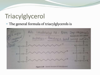 Triacylglycerol
 The general formula of triacylglycerols is
 