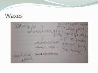 Waxes
 