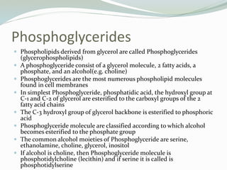 Phosphoglycerides
 Phospholipids derived from glycerol are called Phosphoglycerides
(glycerophospholipids)
 A phosphoglyceride consist of a glycerol molecule, 2 fatty acids, a
phosphate, and an alcohol(e.g. choline)
 Phosphoglycerides are the most numerous phospholipid molecules
found in cell membranes
 In simplest Phosphoglyceride, phosphatidic acid, the hydroxyl group at
C-1 and C-2 of glycerol are esterified to the carboxyl groups of the 2
fatty acid chains
 The C-3 hydroxyl group of glycerol backbone is esterified to phosphoric
acid
 Phosphoglyceride molecule are classified according to which alcohol
becomes esterified to the phosphate group
 The common alcohol moieties of Phosphoglyceride are serine,
ethanolamine, choline, glycerol, inositol
 If alcohol is choline, then Phosphoglyceride molecule is
phosphotidylcholine (lecithin) and if serine it is called is
phosphotidylserine
 