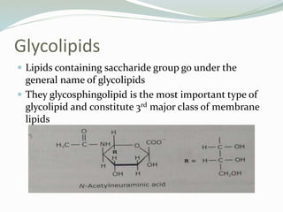 Glycolipids
 Lipids containing saccharide group go under the
general name of glycolipids
 They glycosphingolipid is the most important type of
glycolipid and constitute 3rd major class of membrane
lipids
 