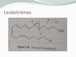 Leukotrienes
 
