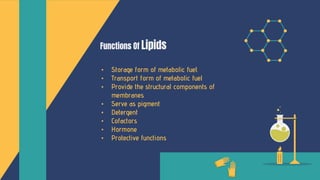 Functions Of Lipids
• Storage form of metabolic fuel.
• Transport form of metabolic fuel
• Provide the structural components of
membranes
• Serve as pigment
• Detergent
• Cofactors
• Hormone
• Protective functions
 