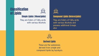 Compound Lipids (HeteroLipids)
Simple Lipids ( MonoLipids)
Classification
of Lipids
They are Esters of Fatty acids
with various Alcohols
They are Esters of Fatty acids
with various Alcohols and
possess additional Groups
also
Derived Lipids
These are the substances
derived from simple and
compound lipids by hyrolysis
 