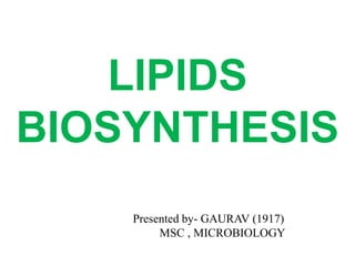 LIPIDS
BIOSYNTHESIS
Presented by- GAURAV (1917)
MSC , MICROBIOLOGY
 