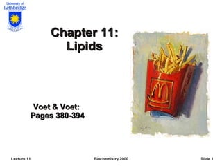 Biochemistry 2000
Lecture 11 Slide 1
Chapter 11:
Chapter 11:
Lipids
Lipids
Voet & Voet:
Voet & Voet:
Pages 380-394
Pages 380-394
 