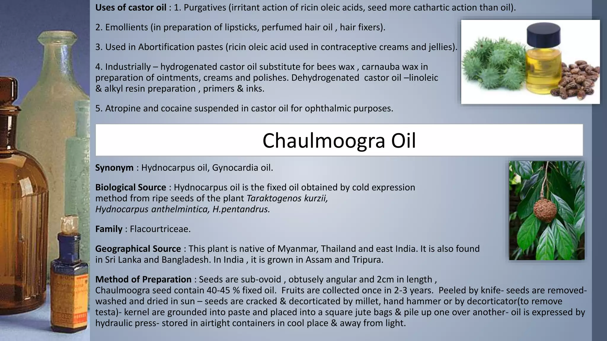 Uses of castor oil : 1. Purgatives (irritant action of ricin oleic acids, seed more cathartic action than oil).
2. Emollients (in preparation of lipsticks, perfumed hair oil , hair fixers).
3. Used in Abortification pastes (ricin oleic acid used in contraceptive creams and jellies).
4. Industrially – hydrogenated castor oil substitute for bees wax , carnauba wax in
preparation of ointments, creams and polishes. Dehydrogenated castor oil –linoleic
& alkyl resin preparation , primers & inks.
5. Atropine and cocaine suspended in castor oil for ophthalmic purposes.
Synonym : Hydnocarpus oil, Gynocardia oil.
Biological Source : Hydnocarpus oil is the fixed oil obtained by cold expression
method from ripe seeds of the plant Taraktogenos kurzii,
Hydnocarpus anthelmintica, H.pentandrus.
Family : Flacourtriceae.
Geographical Source : This plant is native of Myanmar, Thailand and east India. It is also found
in Sri Lanka and Bangladesh. In India , it is grown in Assam and Tripura.
Method of Preparation : Seeds are sub-ovoid , obtusely angular and 2cm in length ,
Chaulmoogra seed contain 40-45 % fixed oil. Fruits are collected once in 2-3 years. Peeled by knife- seeds are removed-
washed and dried in sun – seeds are cracked & decorticated by millet, hand hammer or by decorticator(to remove
testa)- kernel are grounded into paste and placed into a square jute bags & pile up one over another- oil is expressed by
hydraulic press- stored in airtight containers in cool place & away from light.
Chaulmoogra Oil
 