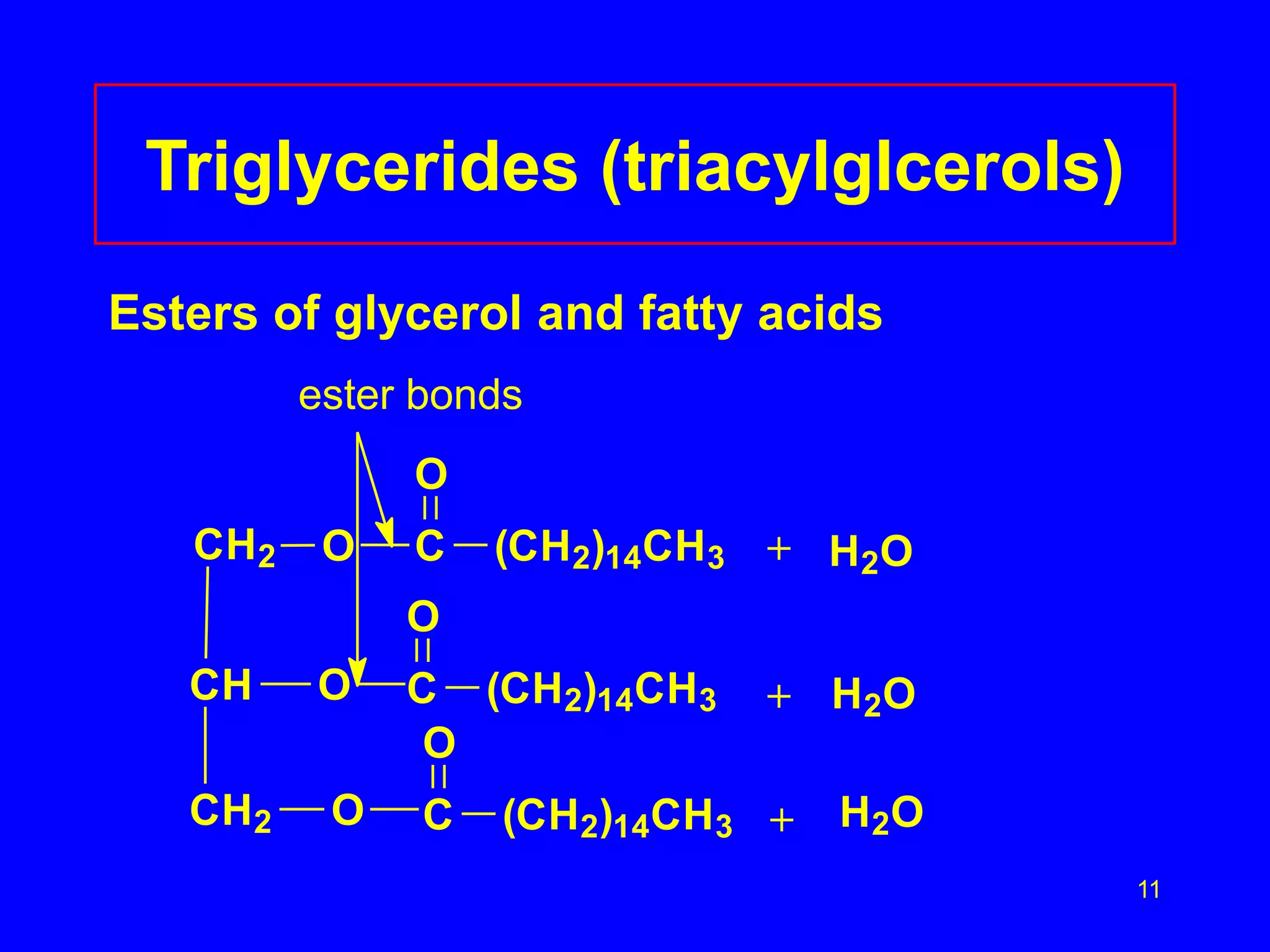 11 
Triglycerides (triacylglcerols) 
Esters of glycerol and fatty acids 
ester bonds 
CH2 O 
CH 
CH2 
O 
O 
O 
C (CH2)14CH3 
O 
C (CH2)14CH3 
O 
C (CH2)14CH3 
+ 
+ 
+ 
H2O 
H2O 
H2O 
 