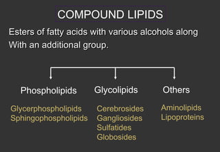 COMPOUND LIPIDS
Esters of fatty acids with various alcohols along
With an additional group.




   Phospholipids       Glycolipids     Others

Glycerphospholipids    Cerebrosides    Aminolipids
Sphingophospholipids   Gangliosides    Lipoproteins
                       Sulfatides
                       Globosides
 