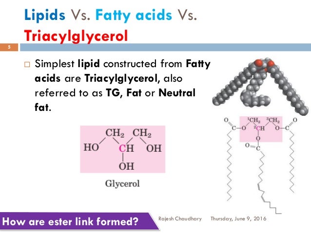 FATTY ACID AND LIPID CHEMISTRY PDF DOWNLOAD FATTY ACID AND LIPID CHEMISTRY PDF DOWNLOAD