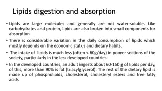 Lipids digestion and absorption
• Lipids are large molecules and generally are not water-soluble. Like
carbohydrates and protein, lipids are also broken into small components for
absorption
• There is considerable variation in the daily consumption of lipids which
mostly depends on the economic status and dietary habits.
• The intake of lipids is much less (often < 60g/day) in poorer sections of the
society, particularly in the less developed countries.
• In the developed countries, an adult ingests about 60-150 g of Iipids per day,
of this, more than 90% is fat (triacylglycerol). The rest of the dietary lipid is
made up of phospholipids, cholesterol, cholesteryl esters and free fatty
acids
 