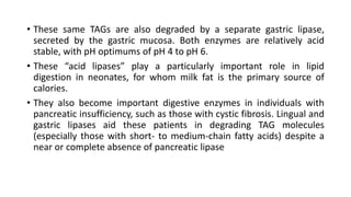 • These same TAGs are also degraded by a separate gastric lipase,
secreted by the gastric mucosa. Both enzymes are relatively acid
stable, with pH optimums of pH 4 to pH 6.
• These “acid lipases” play a particularly important role in lipid
digestion in neonates, for whom milk fat is the primary source of
calories.
• They also become important digestive enzymes in individuals with
pancreatic insufficiency, such as those with cystic fibrosis. Lingual and
gastric lipases aid these patients in degrading TAG molecules
(especially those with short- to medium-chain fatty acids) despite a
near or complete absence of pancreatic lipase
 