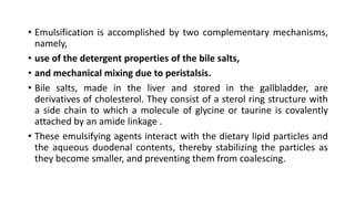 • Emulsification is accomplished by two complementary mechanisms,
namely,
• use of the detergent properties of the bile salts,
• and mechanical mixing due to peristalsis.
• Bile salts, made in the liver and stored in the gallbladder, are
derivatives of cholesterol. They consist of a sterol ring structure with
a side chain to which a molecule of glycine or taurine is covalently
attached by an amide linkage .
• These emulsifying agents interact with the dietary lipid particles and
the aqueous duodenal contents, thereby stabilizing the particles as
they become smaller, and preventing them from coalescing.
 