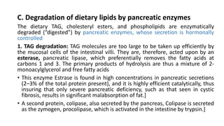 C. Degradation of dietary lipids by pancreatic enzymes
The dietary TAG, cholesteryl esters, and phospholipids are enzymatically
degraded (“digested”) by pancreatic enzymes, whose secretion is hormonally
controlled
1. TAG degradation: TAG molecules are too large to be taken up efficiently by
the mucosal cells of the intestinal villi. They are, therefore, acted upon by an
esterase, pancreatic lipase, which preferentially removes the fatty acids at
carbons 1 and 3. The primary products of hydrolysis are thus a mixture of 2-
monoacylglycerol and free fatty acids
• This enzyme Estrase is found in high concentrations in pancreatic secretions
(2–3% of the total protein present), and it is highly efficient catalytically, thus
insuring that only severe pancreatic deficiency, such as that seen in cystic
fibrosis, results in significant malabsorption of fat.]
• A second protein, colipase, also secreted by the pancreas, Colipase is secreted
as the zymogen, procolipase, which is activated in the intestine by trypsin.]
 