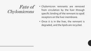 Fate of
Chylomicrons
• Chylomicron remnants are removed
from circulation by the liver through
specific binding of the remnant to apoE
receptors on the liver membrane.
• Once it is in the liver, the remnant is
degraded, and the lipids are recycled.
 