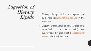 Digestion of
Dietary
Lipids
• Dietary phospholipids are hydrolyzed
by pancreatic phospholipase A2 in the
intestine.
• Dietary cholesterol esters (cholesterol
esterified to a fatty acid) are
hydrolyzed by pancreatic cholesterol
esterase in the intestine.
 