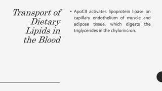 Transport of
Dietary
Lipids in
the Blood
• ApoCII activates lipoprotein lipase on
capillary endothelium of muscle and
adipose tissue, which digests the
triglycerides in the chylomicron.
 