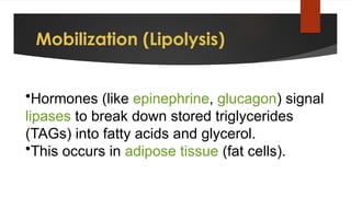 Tag Moblization LIPIDS Homeostasis (digestion, metabolism, absorption and excretion.pptx
