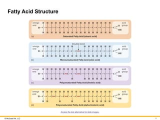 © McGraw Hill, LLC
Fatty Acid Structure
Access the text alternative for slide images.
11
 