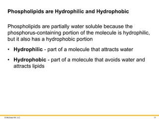 © McGraw Hill, LLC
Phospholipids are Hydrophilic and Hydrophobic
Phospholipids are partially water soluble because the
phosphorus-containing portion of the molecule is hydrophilic,
but it also has a hydrophobic portion
• Hydrophilic - part of a molecule that attracts water
• Hydrophobic - part of a molecule that avoids water and
attracts lipids
38
 