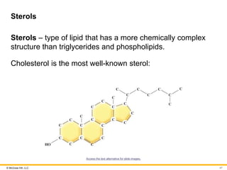 © McGraw Hill, LLC
Sterols
Sterols – type of lipid that has a more chemically complex
structure than triglycerides and phospholipids.
Cholesterol is the most well-known sterol:
Access the text alternative for slide images.
47
 