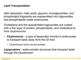 © McGraw Hill, LLC
Lipid Transportation
After absorption, fatty acids, glycerol, monoglycerides, and
phospholipid fragments are reassembled into triglycerides
and phospholipids inside enterocytes
Cholesterol and the reassembled triglycerides are coated
with a thin layer of protein, phospholipids, and cholesterol to
form chylomicrons
• Chylomicron - a type of lipoprotein formed in enterocytes
to transport lipids away from the GI tract
• Chylomicrons enter into the lacteals
Lipoproteins - water-soluble structures that transport lipids
through the bloodstream
60
 