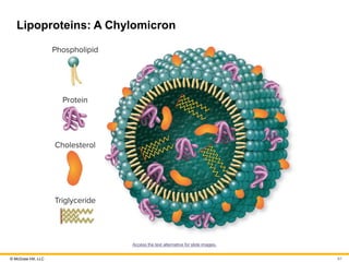 © McGraw Hill, LLC
Lipoproteins: A Chylomicron
Access the text alternative for slide images.
61
 