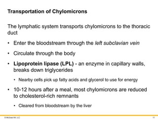 © McGraw Hill, LLC
Transportation of Chylomicrons
The lymphatic system transports chylomicrons to the thoracic
duct
• Enter the bloodstream through the left subclavian vein
• Circulate through the body
• Lipoprotein lipase (LPL) - an enzyme in capillary walls,
breaks down triglycerides
• Nearby cells pick up fatty acids and glycerol to use for energy
• 10-12 hours after a meal, most chylomicrons are reduced
to cholesterol-rich remnants
• Cleared from bloodstream by the liver
62
 