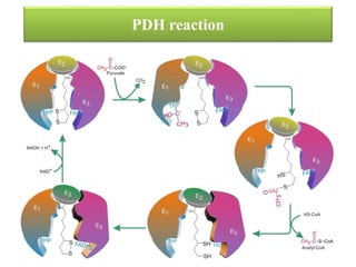 Pdh Inhibit lecture note lipidsmetabolism-160606064130.pptx