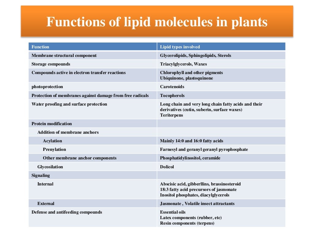 Lipids metabolism in plants