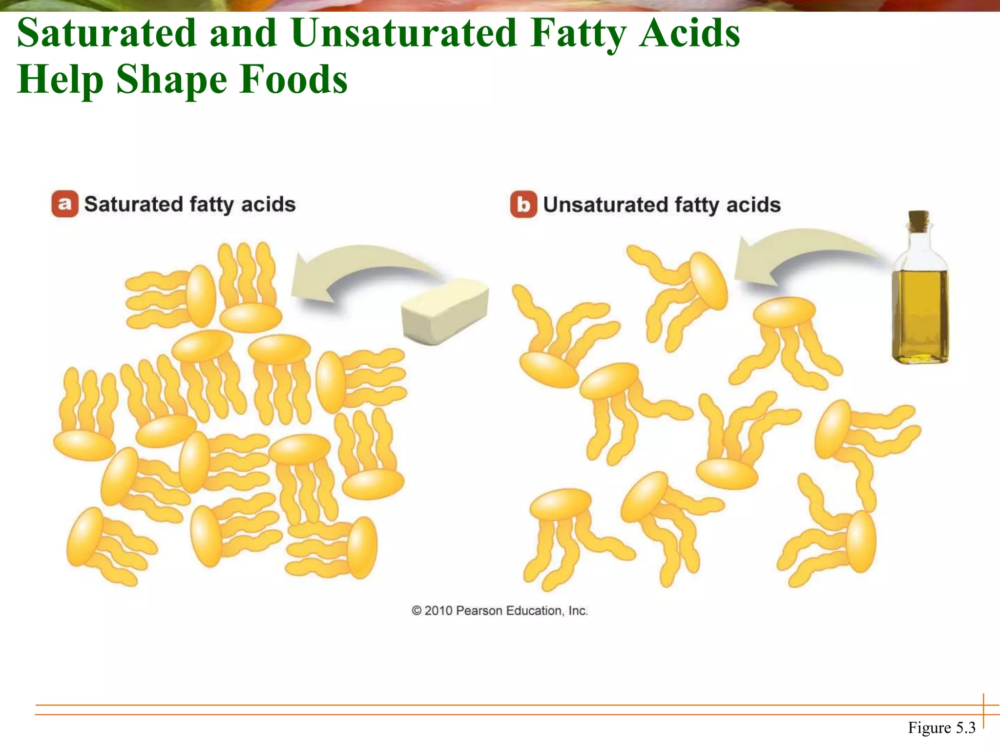 Saturated and Unsaturated Fatty Acids
Help Shape Foods
Figure 5.3
 